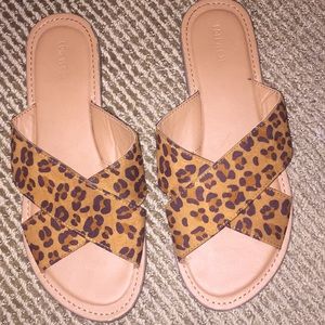 Cheetah Slides